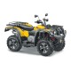 Stels ATV 600 Y Leopard